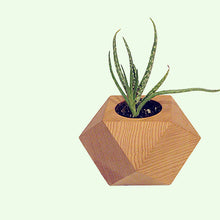 Load image into Gallery viewer, brown